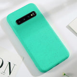 Samsung Galaxy S10 ultra dünne Hülle