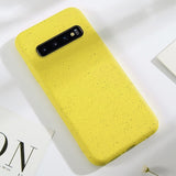 Samsung Galaxy S10 ultra dünne Hülle